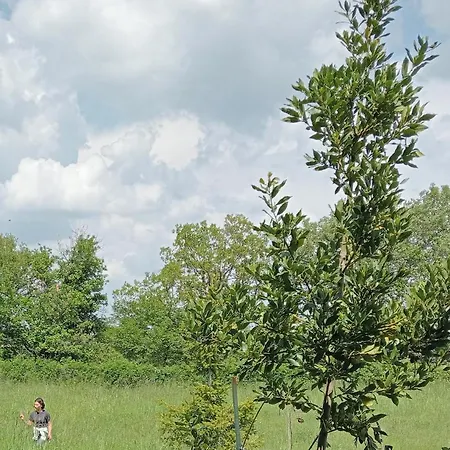 Spot On Civita Prázdninový dům *